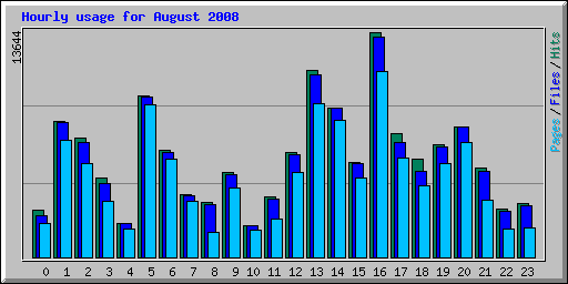 Hourly usage for August 2008